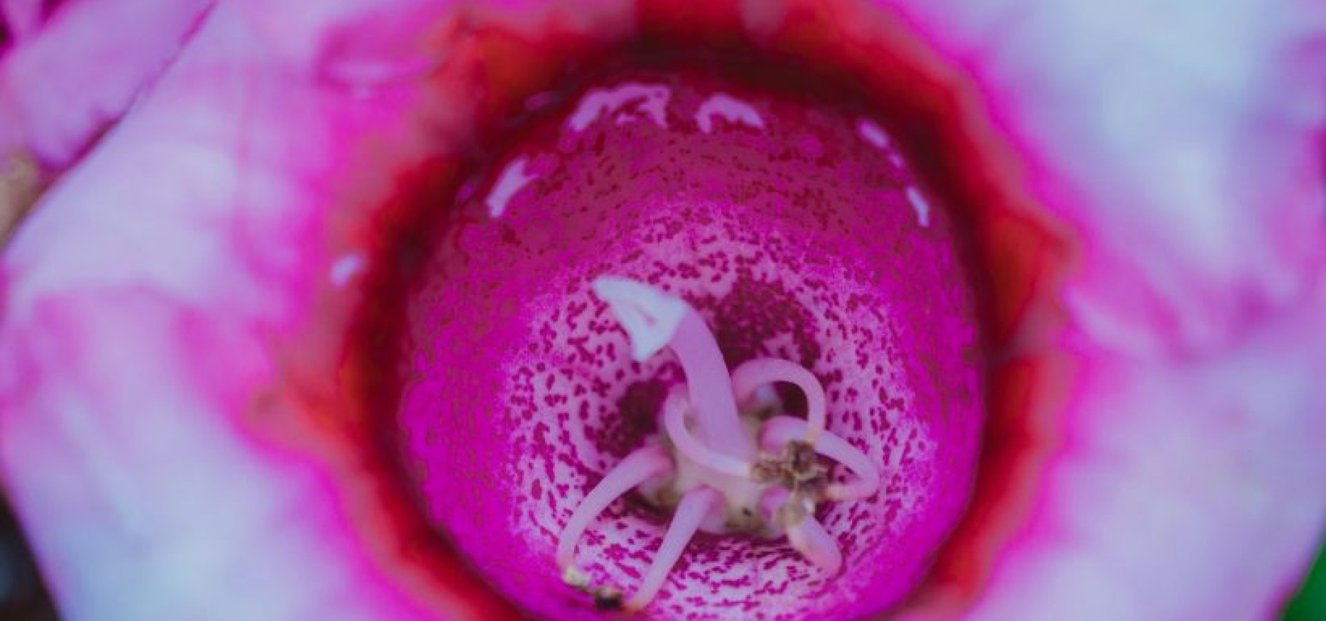 5 στάσεις για να την κάνεις να τελειώσει κλειtoριδικά